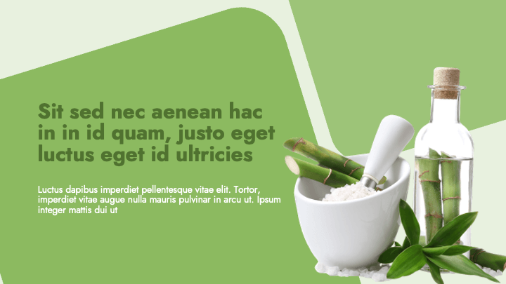 MellowForm Green Wellness slide 2